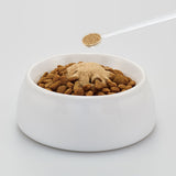 DHC 貓用關節保健素